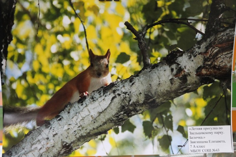 Фото к В судьбе Земли — твоя судьба!