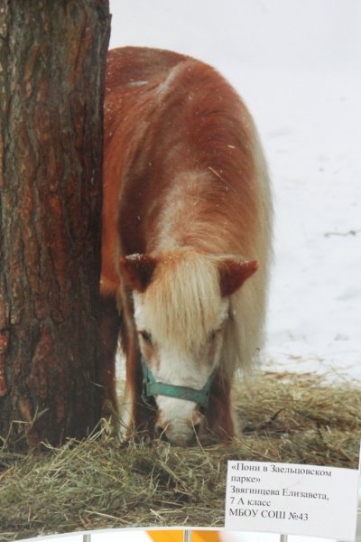 Фото к В судьбе Земли — твоя судьба!