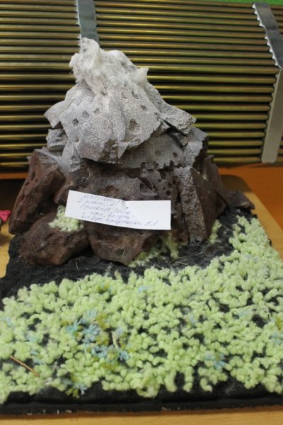 Фото к В судьбе Земли — твоя судьба!