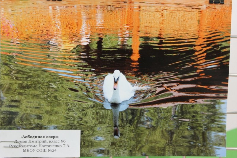 Фото к В судьбе Земли — твоя судьба!