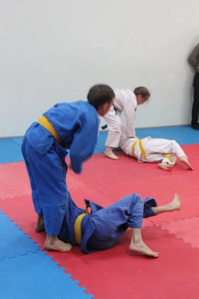 Фото к Олимпийские уроки