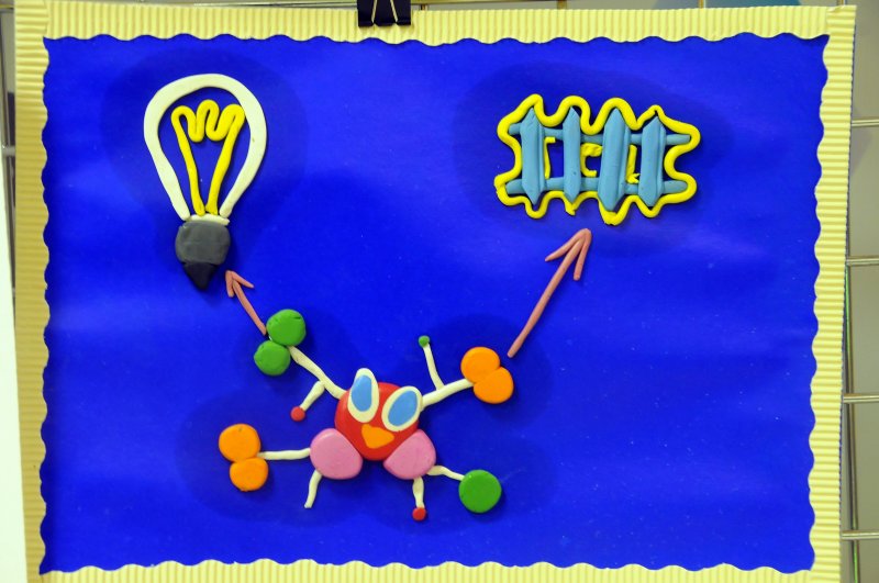 Фото к Конкурс завершен, работа продолжается.