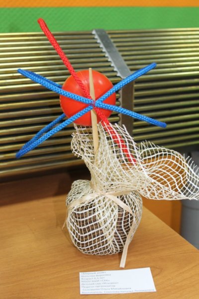 Фото к Подведены итоги конкурса «Мой атом» в Новосибирске